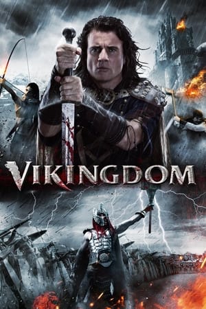 Vikingdom 2013 Hindi Dual Audio [1GB] HD Poster Download - filmyfly