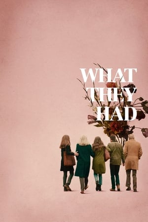 What They Had (2018) Hindi Dual Audio 350MB HD Poster Download - filmyfly