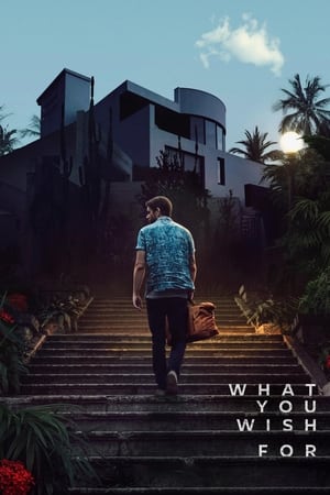 What You Wish For 2023 Dual Audio Hindi – – HD Poster Download - filmyfly