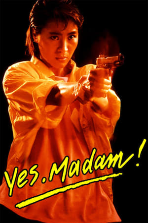 Yes Madam 1985 300MB Hindi Dubbed Download HD Poster Download - filmyfly