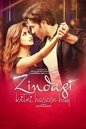 Zindagi Kitni Haseen Hay (2016) Pakistani Movie Download